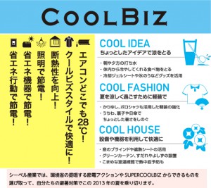 2013coolbiz